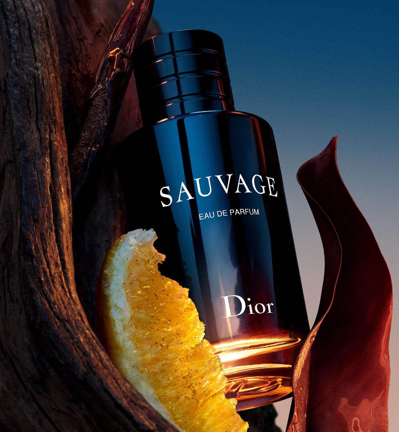 Dior Sauvage Eau De Parfum Spray For Men, 3.4 Ounce